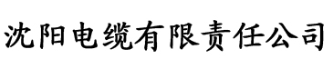 老师再来一次软糖笔电缆厂logo